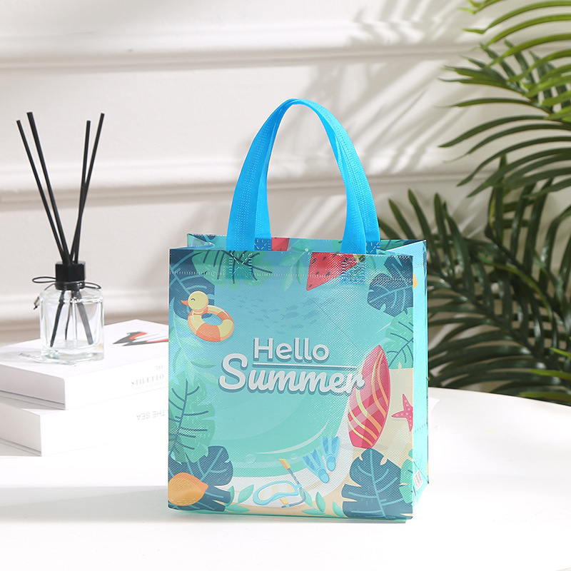 ถุงผ้าไม่ทอสำหรับใส่ของขวัญ ขอ - Wedding Supply Shops บทวิจารณ์และราคา
